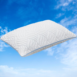  Rehab Cloud prna